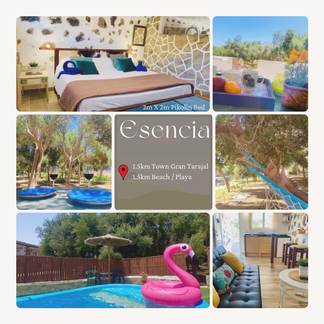 Bungalow Alma #Only Adults El Charco  Zewnętrze zdjęcie